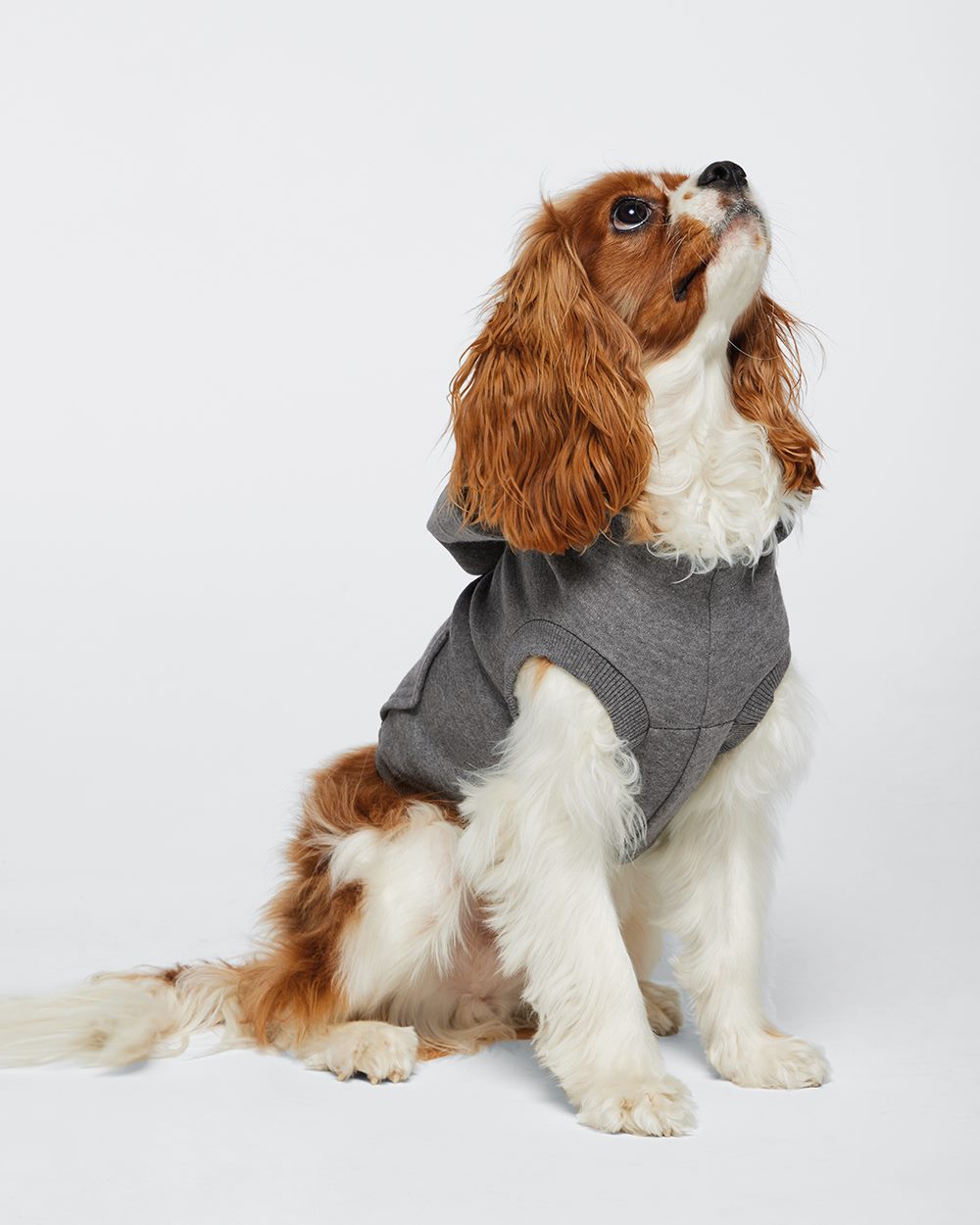 Doggie 3-End Fleece Hooded Sweatshirt